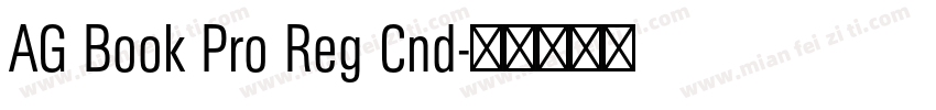 AG Book Pro Reg Cnd字体转换